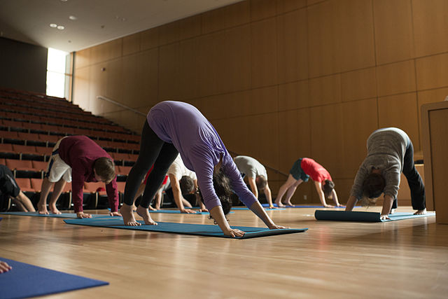 image of people in a yoga pose in a yoga class