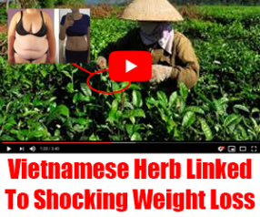 Yoga News | Updates | Articles | Tips | Resources